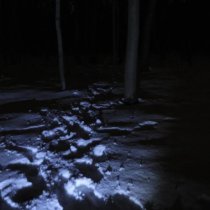 ВЛАЖНОСТЬ - Издевайся