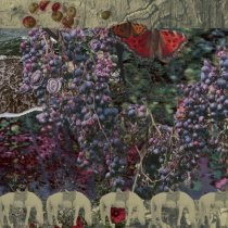 Nikita Kamenskiy - CRYSTAL