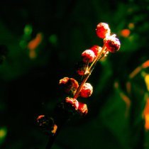 дай мне сил - Тот день