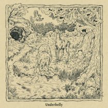 Hannah Hill - Underbelly