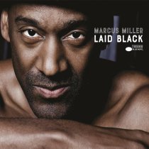 Marcus Miller - Someone To Love