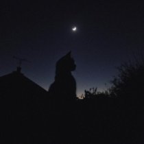 Money Flip, Willix - the night we met