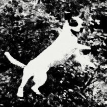 Edmondson - Ladywell Limón