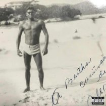 bashfortheworld - Ight