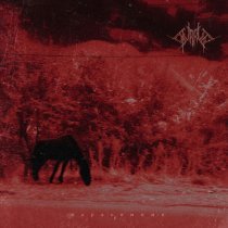 Supruga - Сон во сне