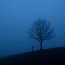 suffershade - falling asleep