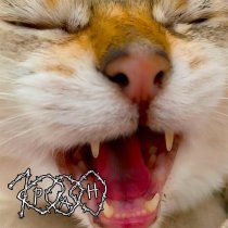 1000ран - Тысяча ран