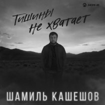 Шамиль Кашешов - Тишины не хватает