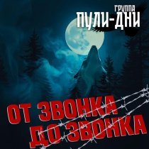 Группа Пули-Дни - Королева двора