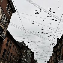 БЭНКРОЛЛ, МЕРКУРИ, облака - Номера