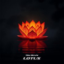 Tim Dian - Lotus