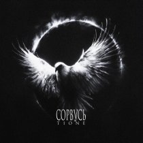 T1ONE - Сорвусь (prod. by TLMusic)