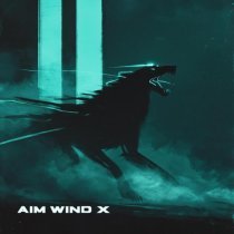 AIM WIND X - Run