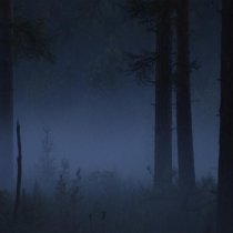 snow tale, Softdope, Milky Way - with us