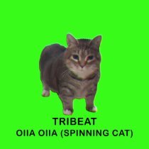 Tribeat - OIIA OIIA (Spinning Cat)