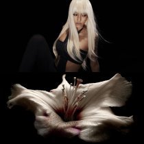 Alisha - знаю тебя