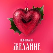 DJ Vini, Анна Любимая - Новогоднее желание