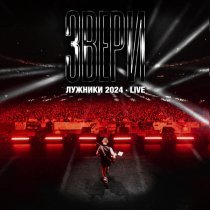 Звери - Брюнетки и блондинки (Лужники 2024, Live)