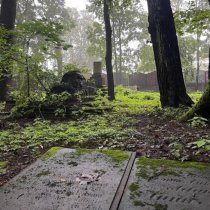 атрофия - поребрики