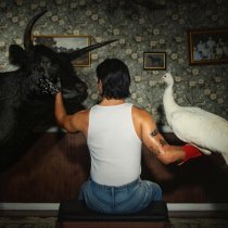 boylife - side b go!