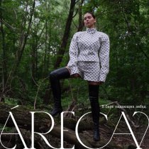 Areca - В баре падающих звёзд