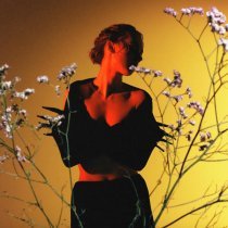 Полосы - полетай