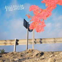 Byrd Dhillon - Hide and seek