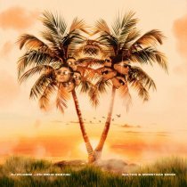 Dj Piligrim - Ты меня забудь