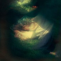 silent anthem, HYPNXTIC - freedom