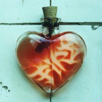 Xdinary Heroes - FiRE (My Sweet Misery)