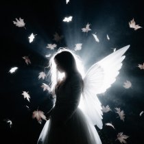 MINUSUSHI, BXNOSTOWN - offie