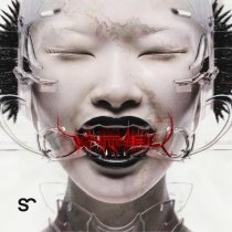 Bad Zu - CHROMED BODIES