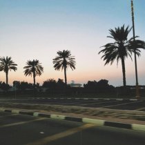 Badcurt, TIMPLUSH - Порно Фильмы