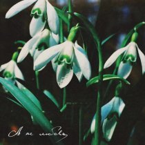 RSAC, Вероника Сыромля - А не любовь