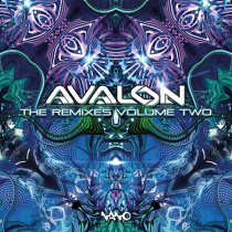 Avalon, Spinal Fusion - Distant Futures - Spinal Fusion Remix