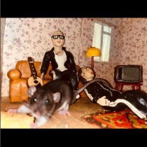 две тысячи ярдов - не устроен быт