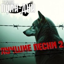 Группа Пули-Дни - Мурка