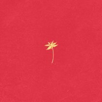 мц жесткое ограничение - камбоджа киднеппинг