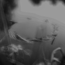 Шунема, IZBA - Купаля