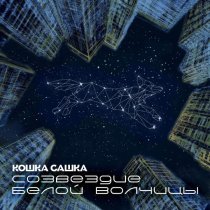 Кошка Сашка - Легенда (Эссе)