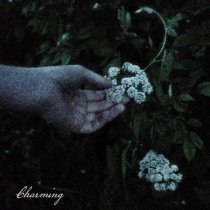 Genevieve Stokes - Charming