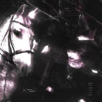 Эйфория - ИНТЕРНЕТ