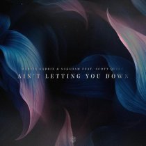 Martin Garrix, Saksham, Scott Quinn - Ain't Letting You Down