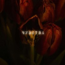 LYAM AUPRO - Чувства