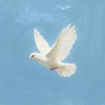 NANSI & SIDOROV - Случайный вальс