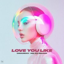 Dinamixx, Milan Smaer - Love You Like
