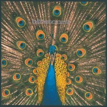 The Bluetones - A Parting Gesture