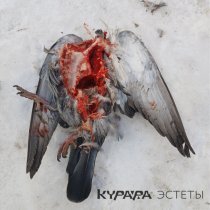 Курара - Мертвецы