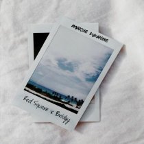 Red Square, Bridgy - Такие пьяные