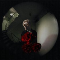 PROOVY - Грейвлэнд